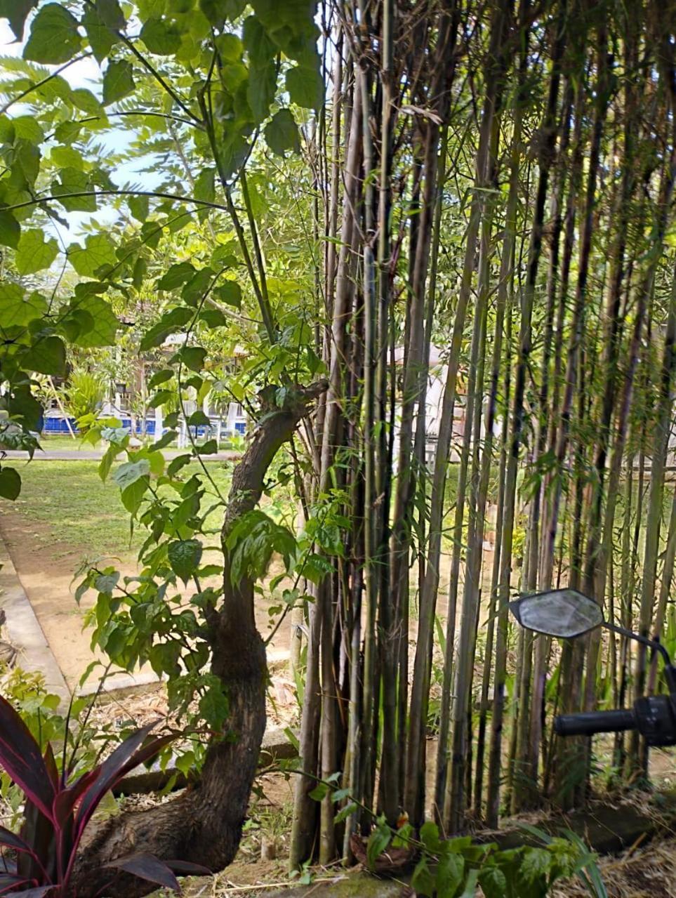 Puri Amartha Apartman Ubud Kültér fotó