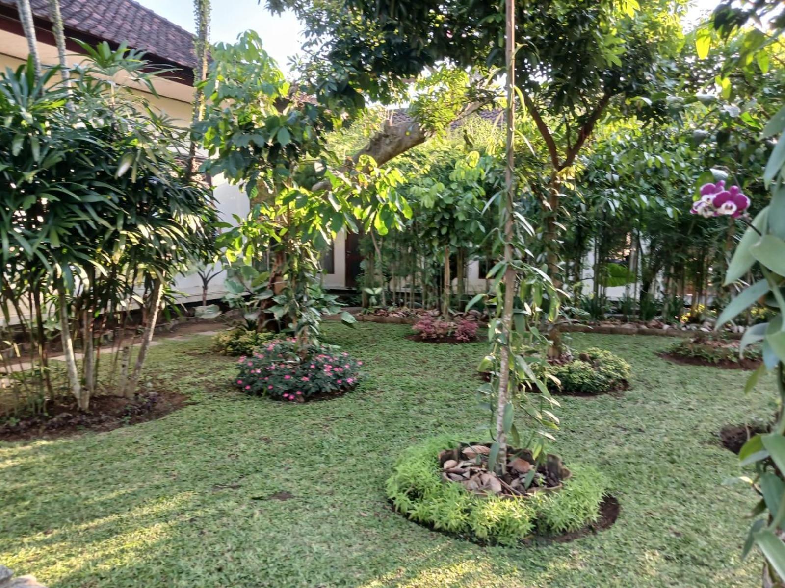 Puri Amartha Apartman Ubud Kültér fotó