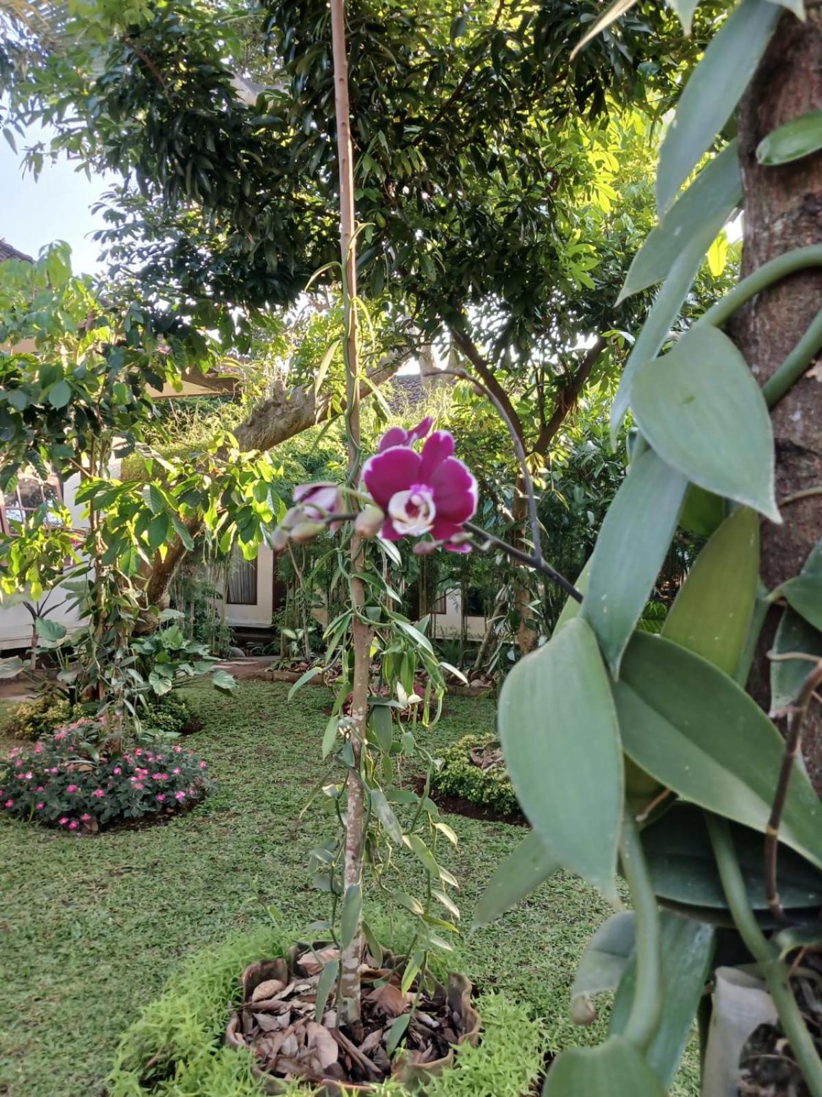 Puri Amartha Apartman Ubud Kültér fotó