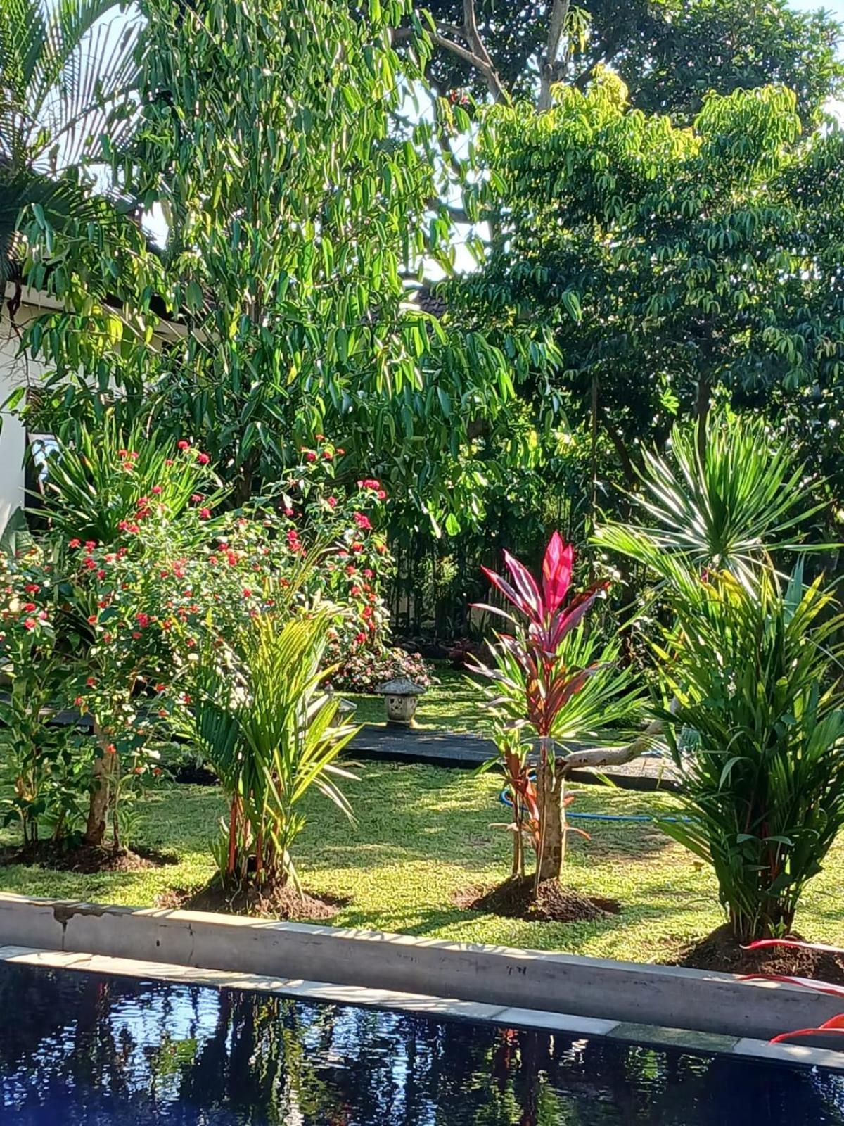 Puri Amartha Apartman Ubud Kültér fotó