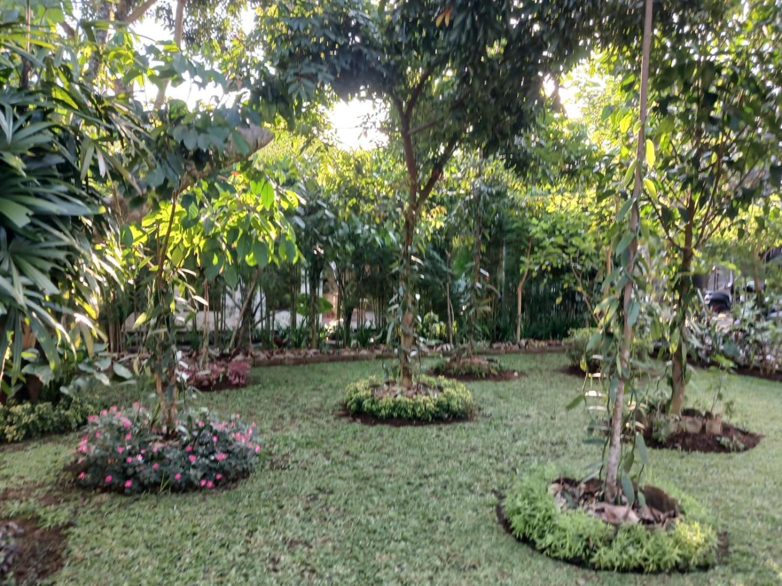 Puri Amartha Apartman Ubud Kültér fotó