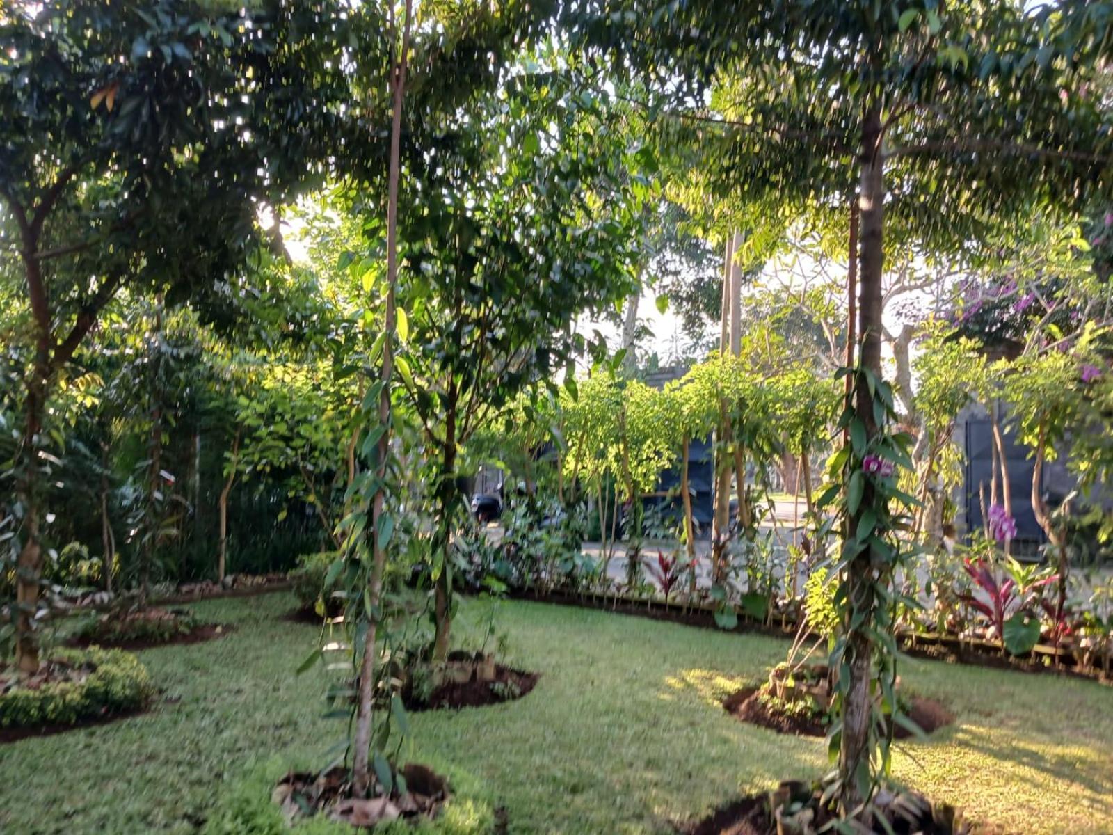 Puri Amartha Apartman Ubud Kültér fotó